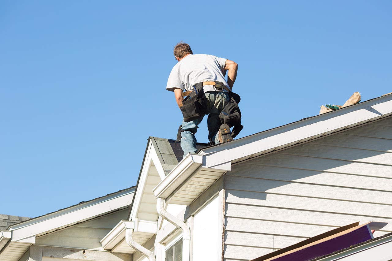 Mighty Dog Roofing crew at work