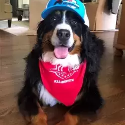 Everest 'Evie'    Photo