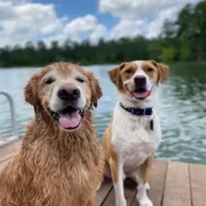 Raleigh & Cooper    Photo