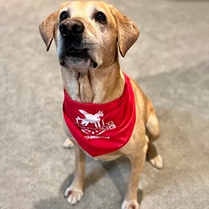 Maverick 'Mavy'  Goodson Photo