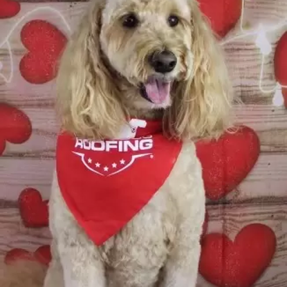 Mighty  Morgan Photo