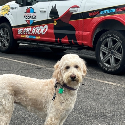 Margot "Mighty Dog"   Smith Photo