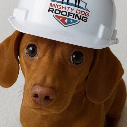 Finn Oliver  Wigglebottom Photo