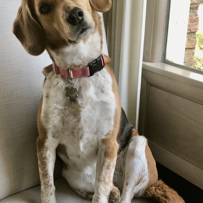 Mighty  Eleanor Photo