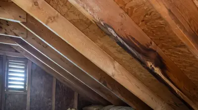 Hidden roof leak path in an attic in Providence County, Rhode Island