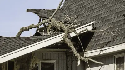 Severe roof damage caused by a fallen tree