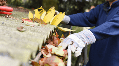 Experienced roofer removing leaves