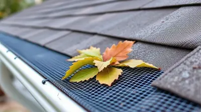 Mesh gutter guard covered with fallen leaves