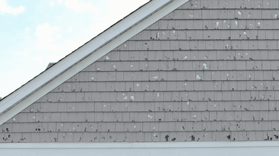 Siding-Damage