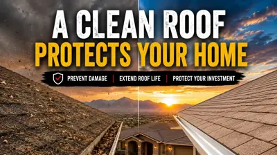 Here’s why regular roof cleaning can be one of the smartest investments you make in your home.