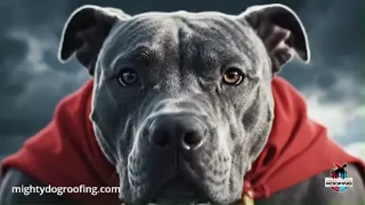 At Mighty Dog Roofing of Rhode Island, we protect your home like it’s our own, combining premium materials, expert installation, and lifetime warranty coverage for lasting peace of mind.