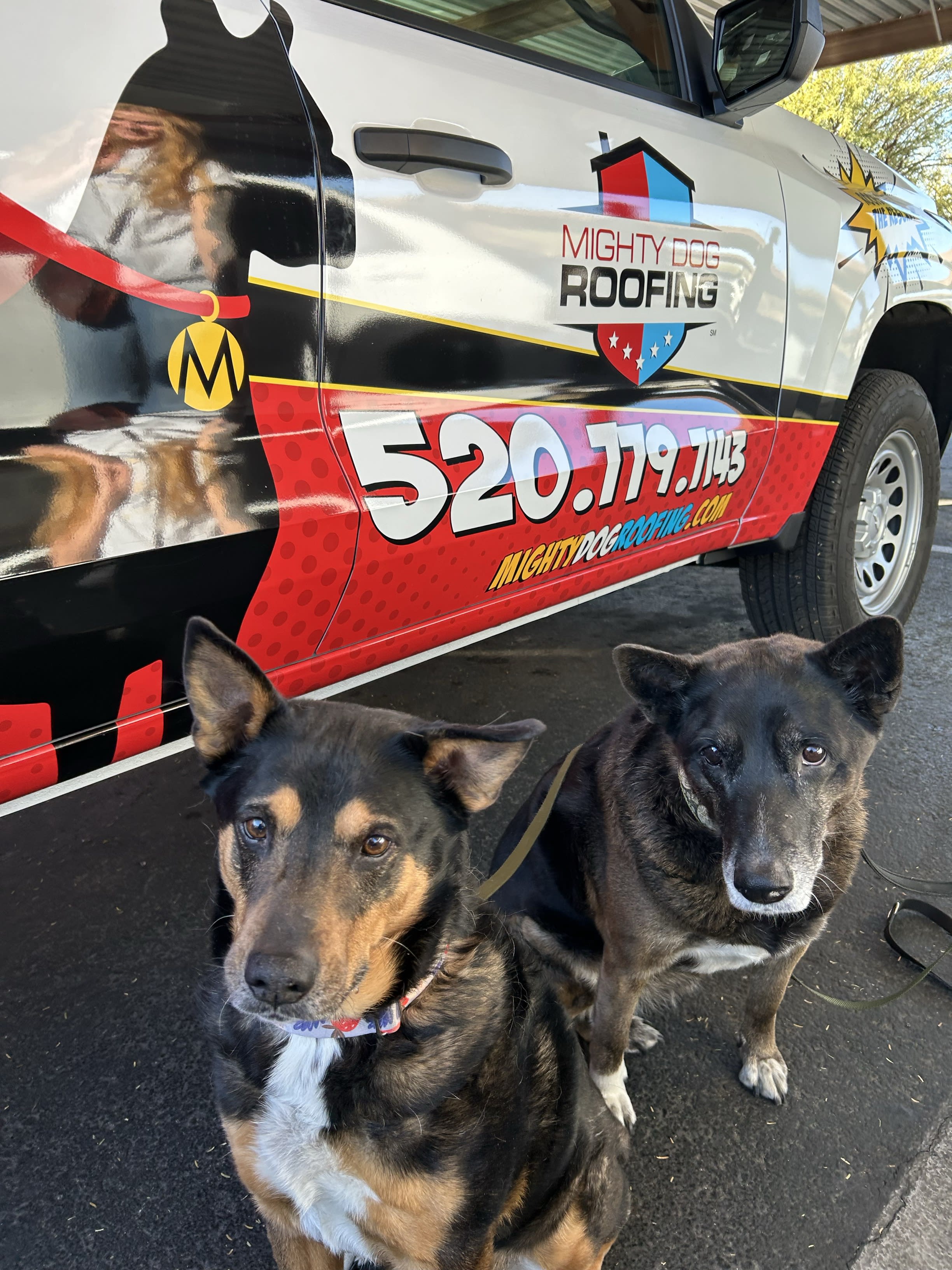 Mighty Dogs