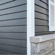 Steel Siding