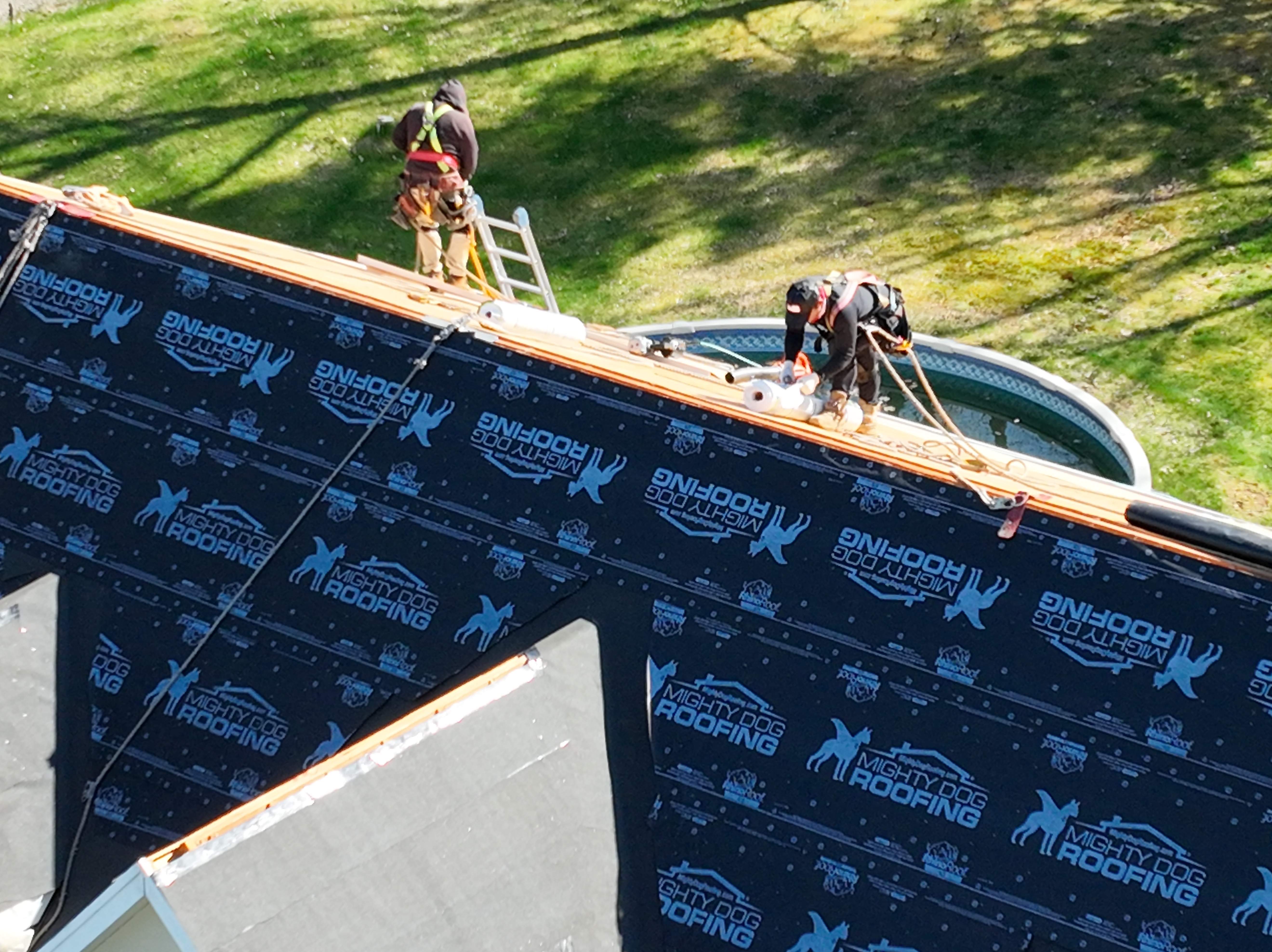 Roof Replacement