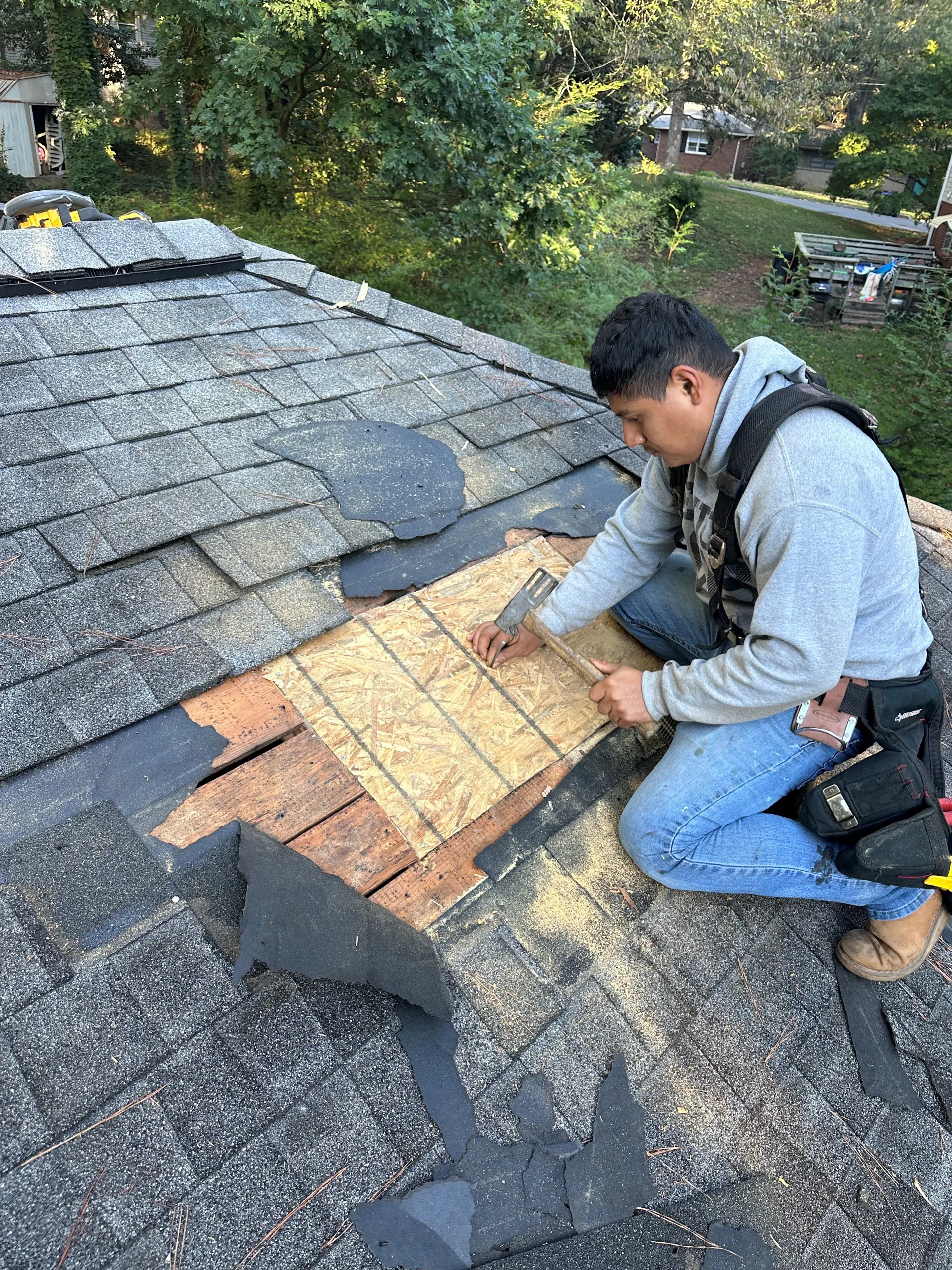 Roof Repairs