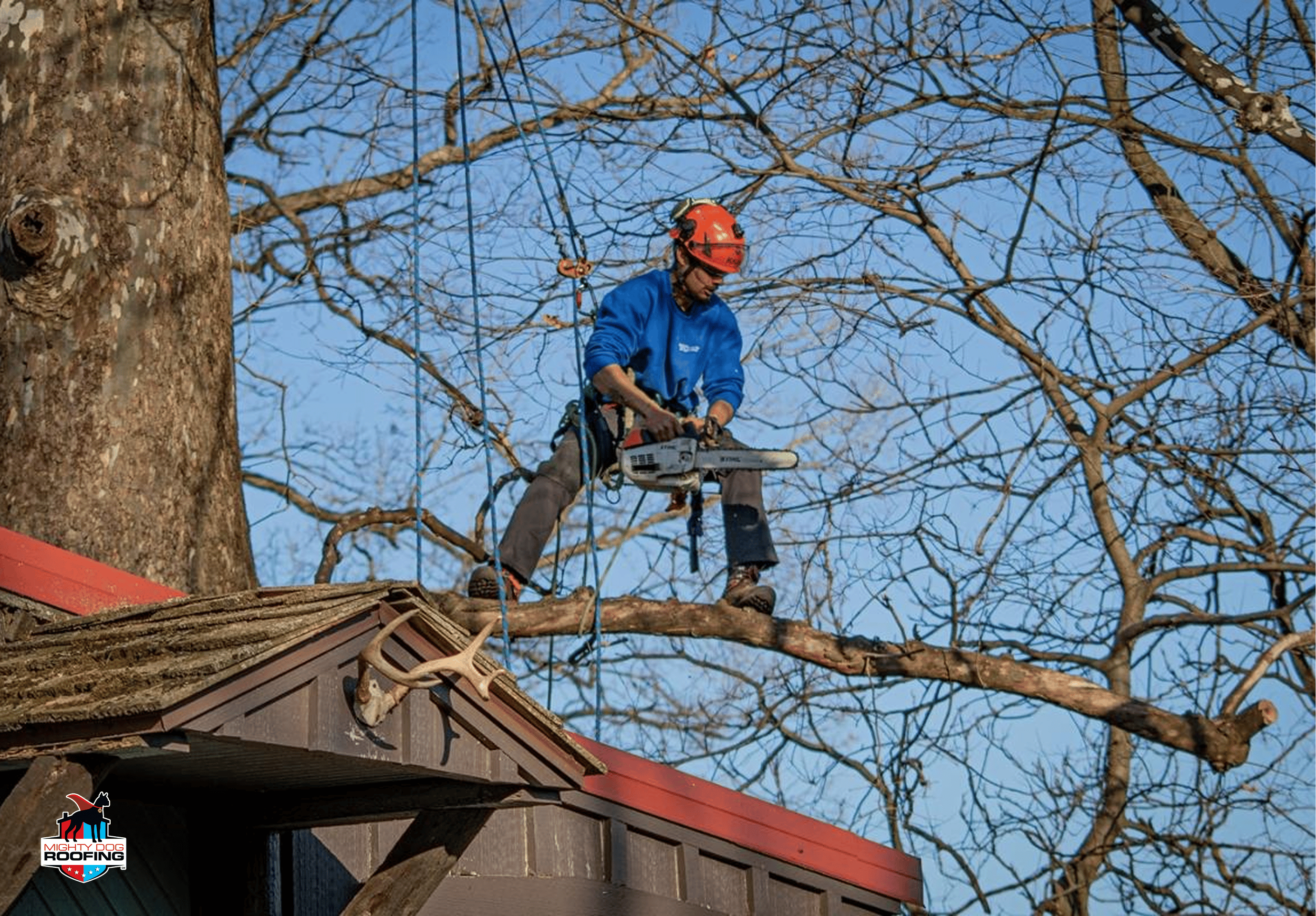 Crew cutting and removing a tree from a rooftop