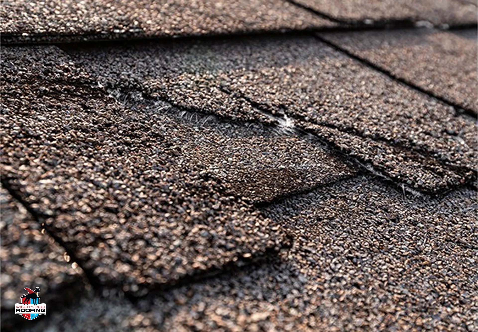 Close-up of asphalt shingles showing granule loss and cracking from freeze-thaw damage