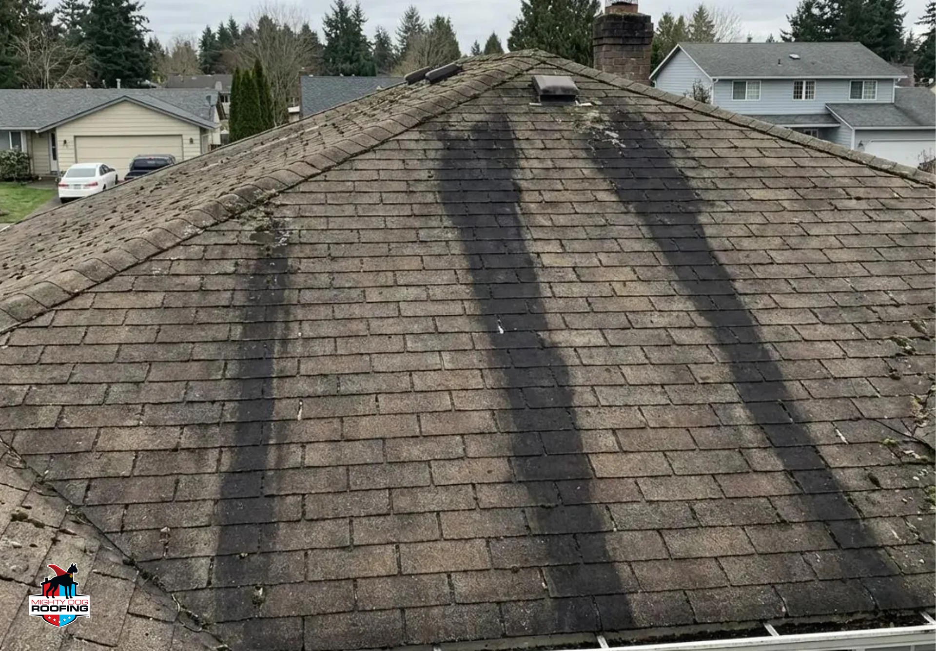 Black algae streaks running down a gray asphalt shingle roof